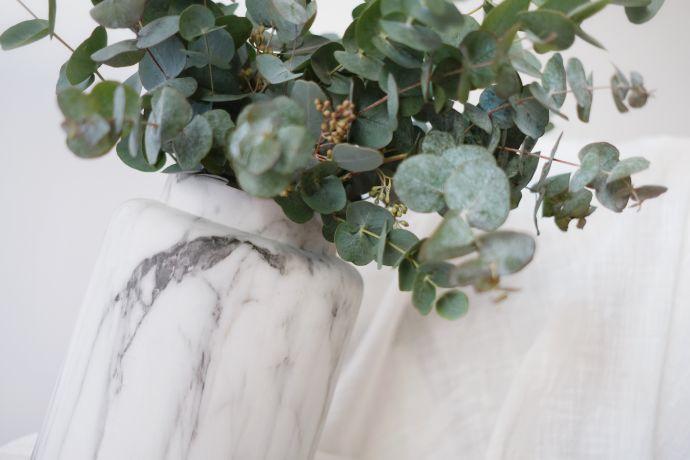 ins风装饰花,ins风装修搭配的绿植