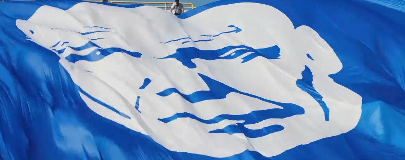 有多少尤里才能拯救中国足球