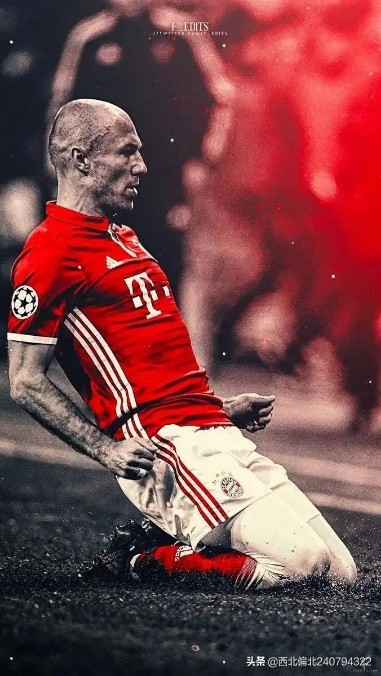 罗本退役足坛评论,罗本退役国家队