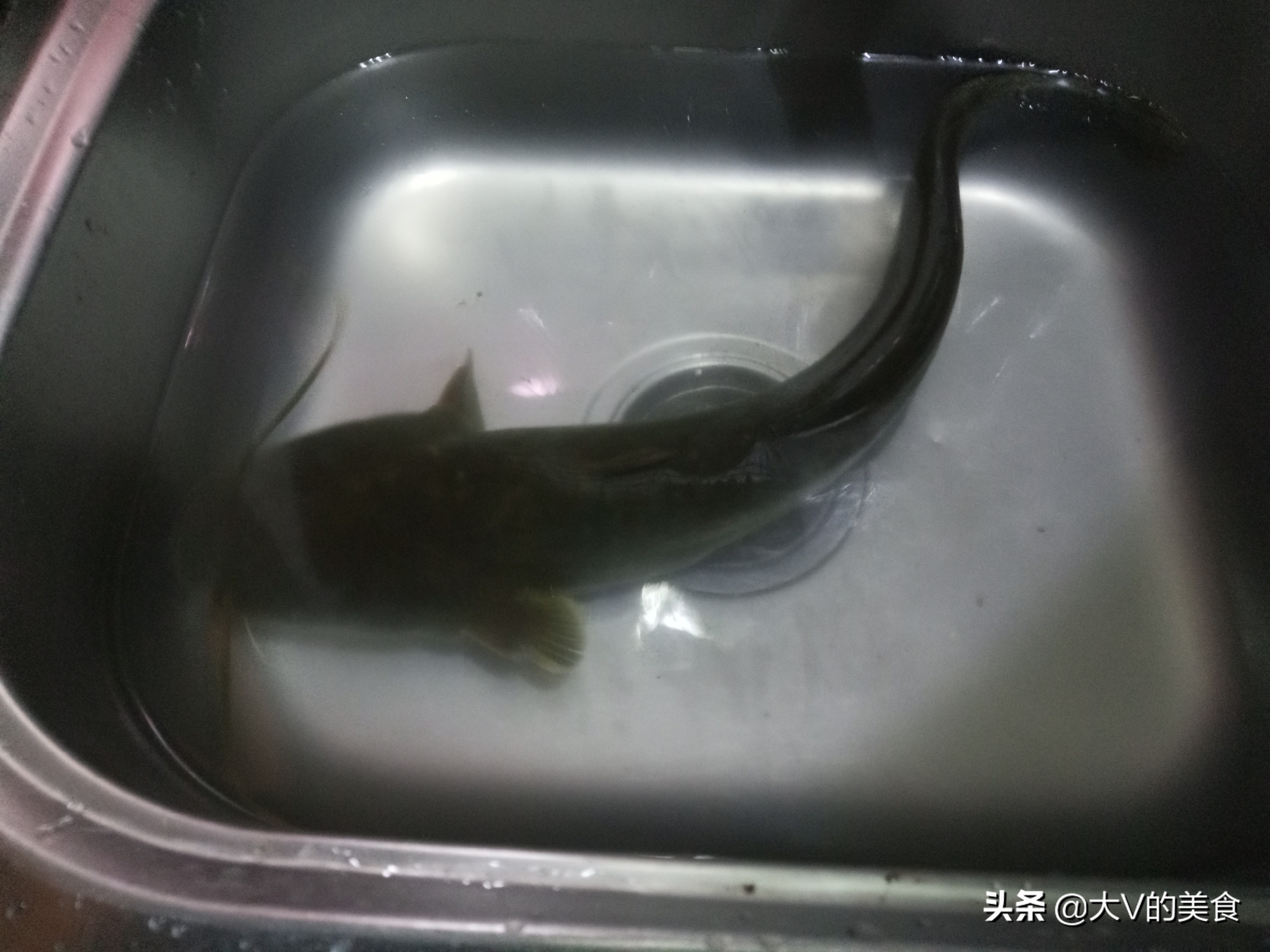 西红柿煮鱼块的家常做法,家常番茄焖鱼最简单做法