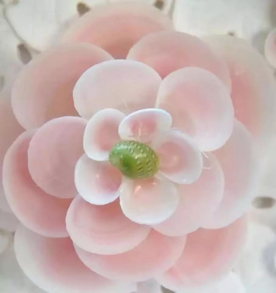 海边捡的贝壳可以做什么手工,贝壳创意手工种花