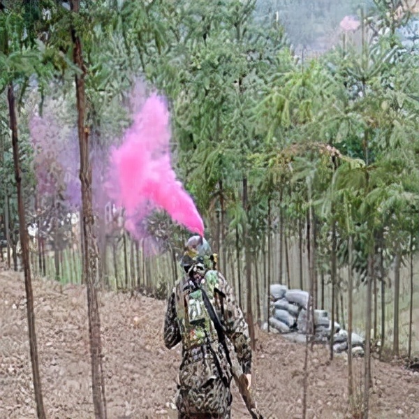 真人cs俱乐部注册流程,真游戏假游戏的案例