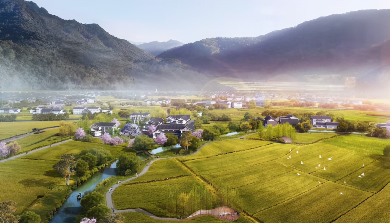 走出镜头的视频,走出镜头的电影