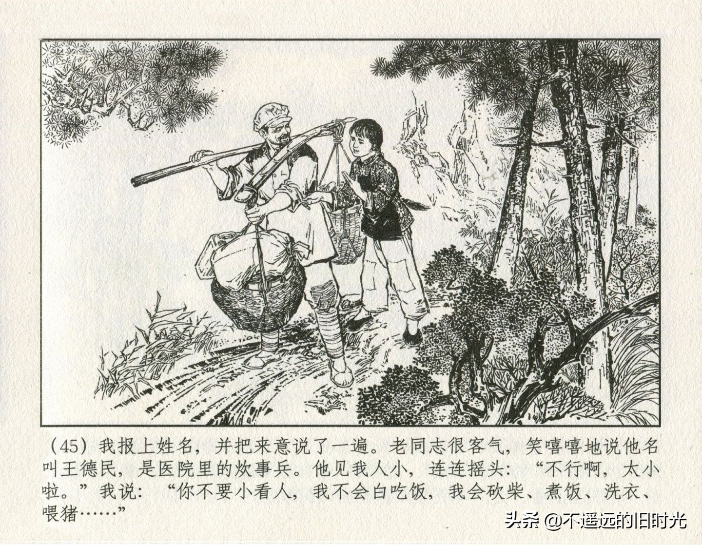 朝阳花-上海人民美术出版社1981初版2016再版陆成法陆小弟绘