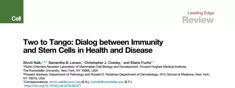 干细胞和免疫细胞培养,免疫细胞和干细胞应用方案