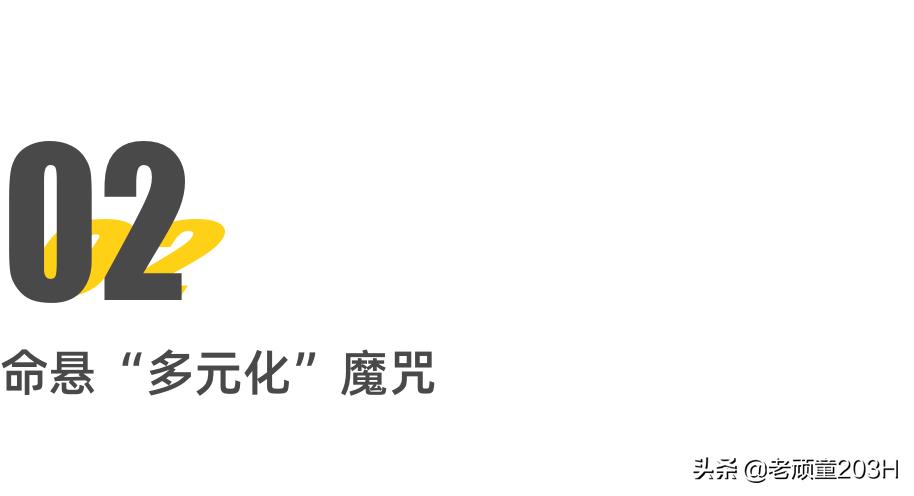 从首富到首负怎么回事,从首富到首负许家印都做了什么