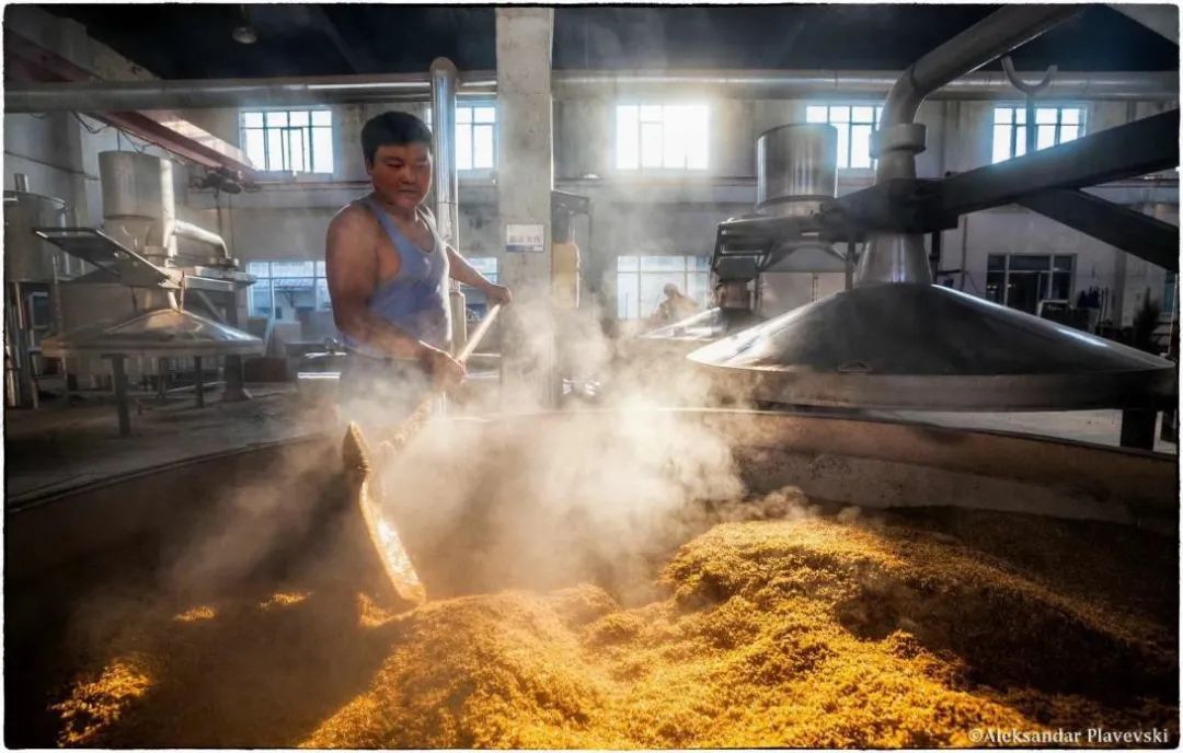 洋河酒哪些值得收藏,洋河酒20年