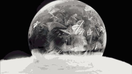 一切探索起源于惊异，保持天真是想象力的源泉，仰望星空的哲学家