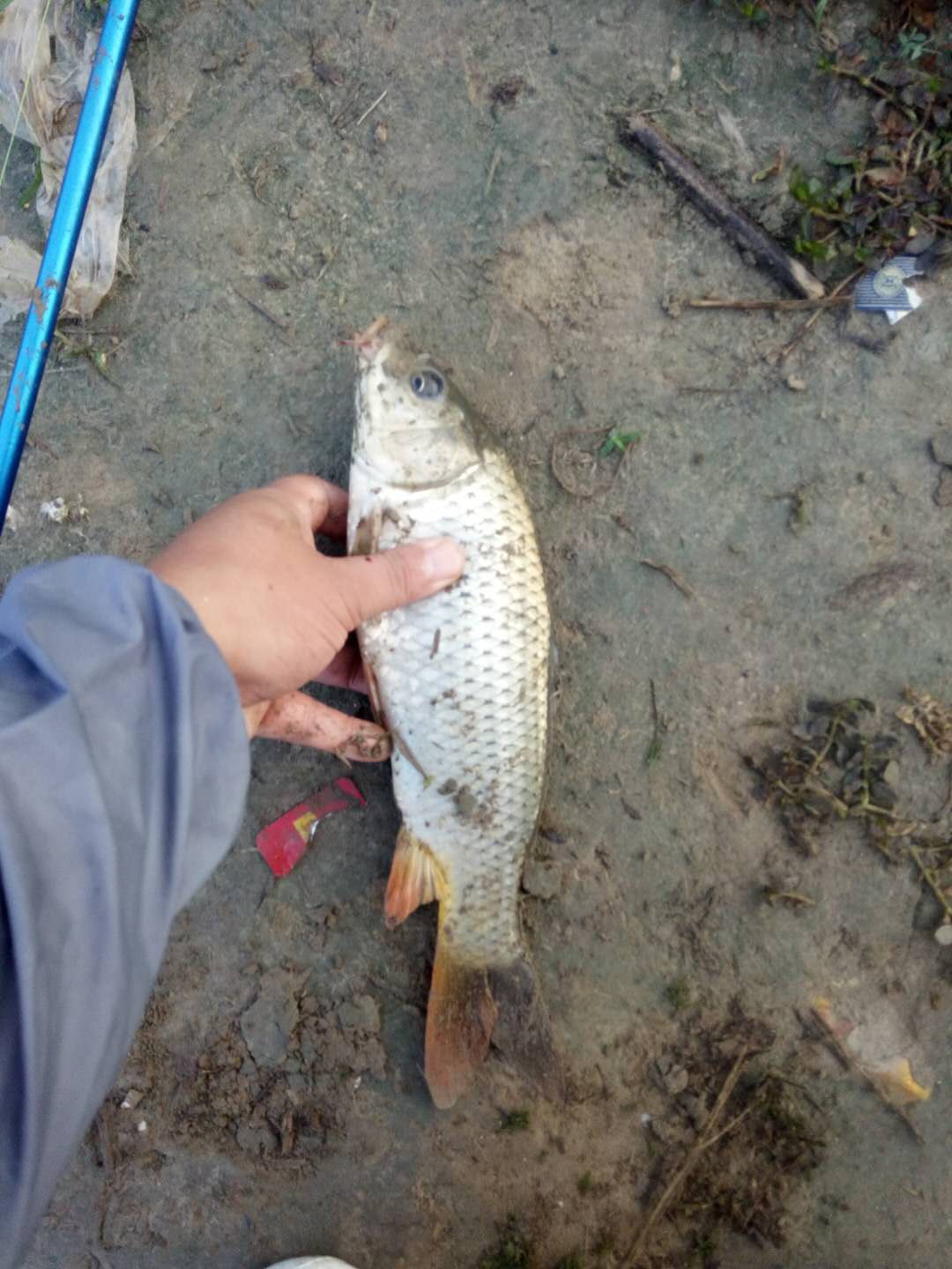 迷恋垂钓乐趣,迷恋清晨的感觉