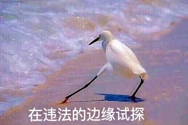 了解电商法的段子,正式上线的电商法