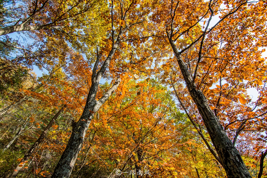 洛阳白云山美成了仙境,河南洛阳市白云山风景区