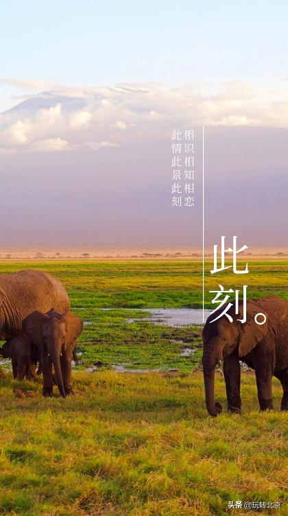 怎样拍出中国风照片,怎么样把照片制作成图片