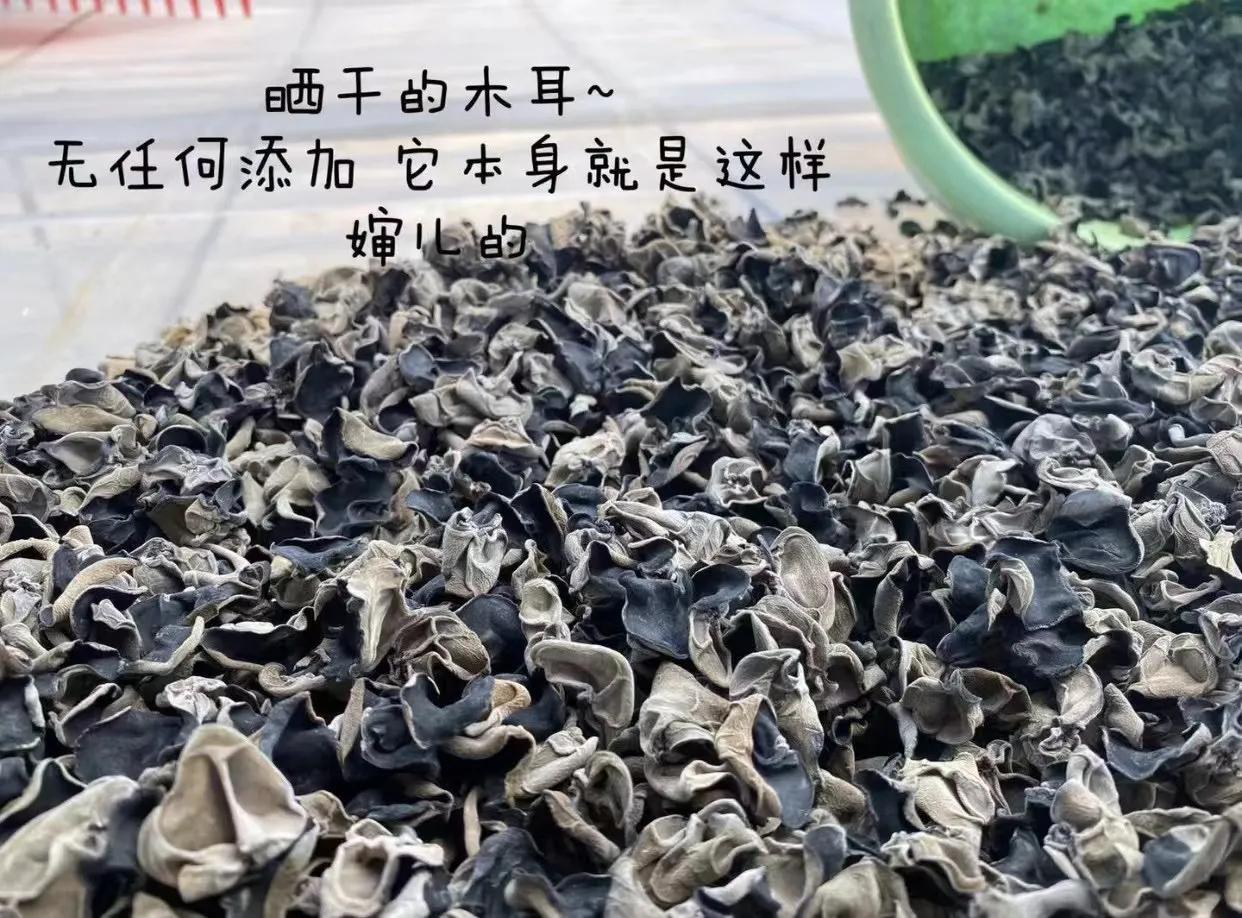 <html>
<head><title>502BadGateway</title></head>
<body>
<center><h1>502BadGateway</h1></center>
<hr><center>nginx</center>
</body>
</html>
<!--apaddingtodisableMSIEandChromefriendlyerrorpage-->
<!--apaddingtodisableMSIEandChromefriendlyerrorpage-->
<!--apaddingtodisableMSIEandChromefriendlyerrorpage-->
<!--apaddingtodisableMSIEandChromefriendlyerrorpage-->
<!--apaddingtodisableMSIEandChromefriendlyerrorpage-->
<!--apaddingtodisableMSIEandChromefriendlyerrorpage-->
