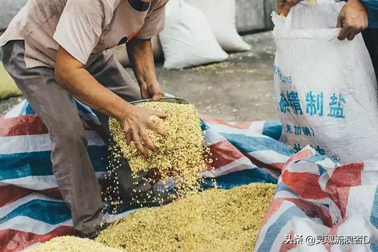 秋天是好闻的桂花香,桂花香才是秋天的灵魂