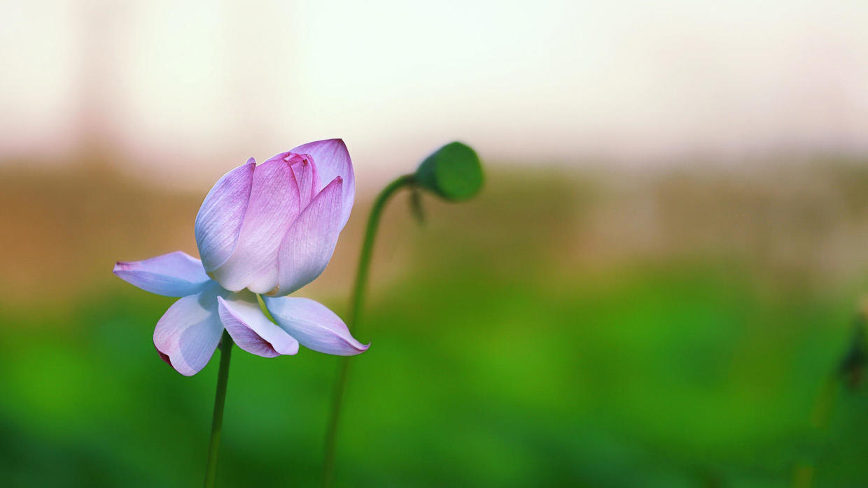 窗前冷月碧蓝天，浮影幽思难入眠