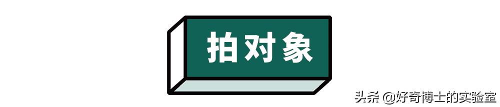 淦！微信新出的「拍一拍」是什么沙雕功能？
