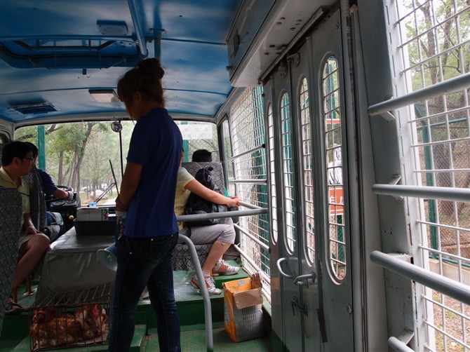 八达岭动物园观看老虎,八达岭动物园游玩