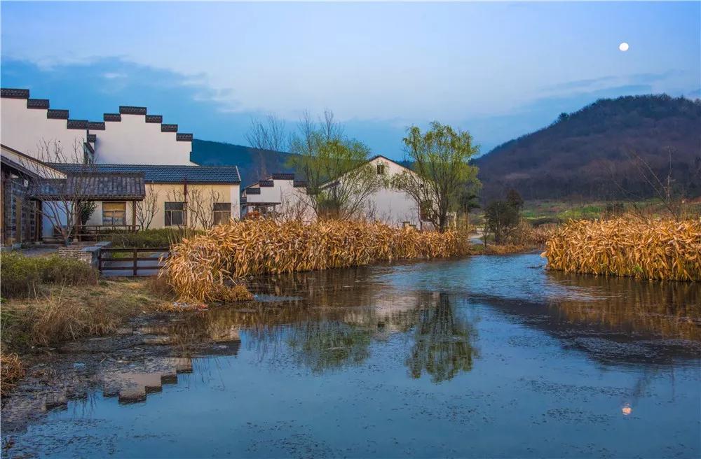 南京小众景点,南京小众花园秘境