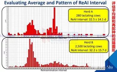 多多牧场高产奶牛的寿命,奶牛生产前有哪些症状