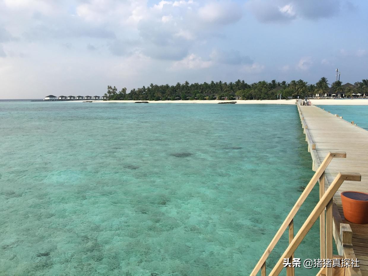 马尔代夫哈拉微莉岛游记,马尔代夫鲁滨逊努努岛怎么样