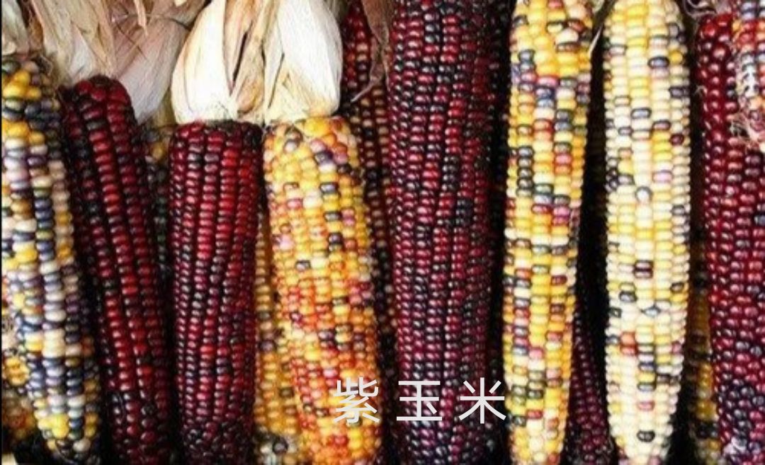 秘鲁的特色饮品是什么味道,秘鲁的传统食物大全