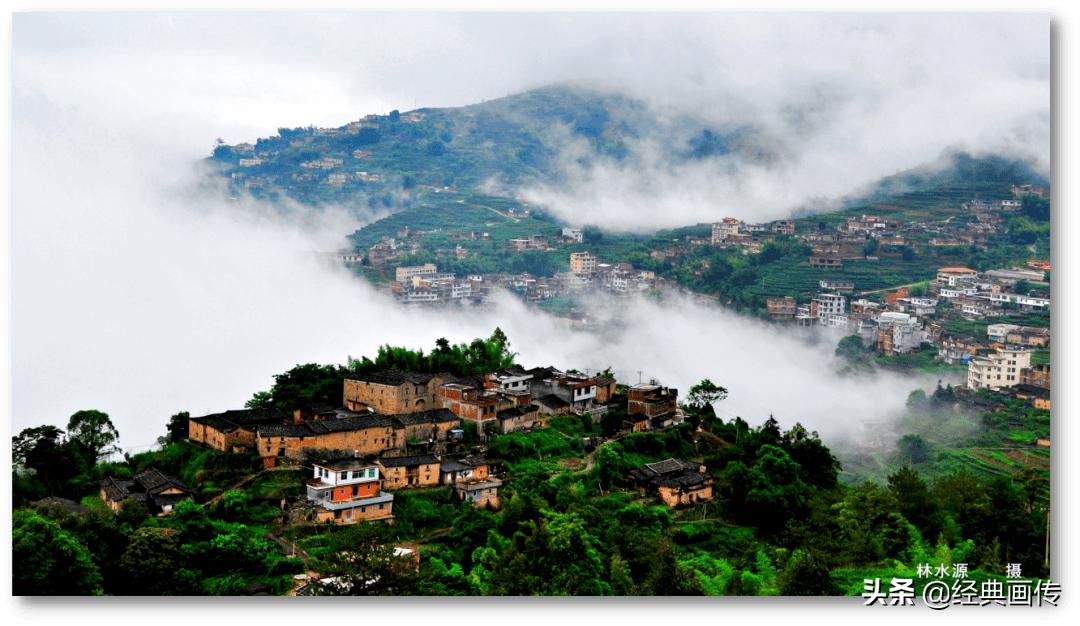 安溪高山铁观音独特之处,正宗安溪高山铁观音