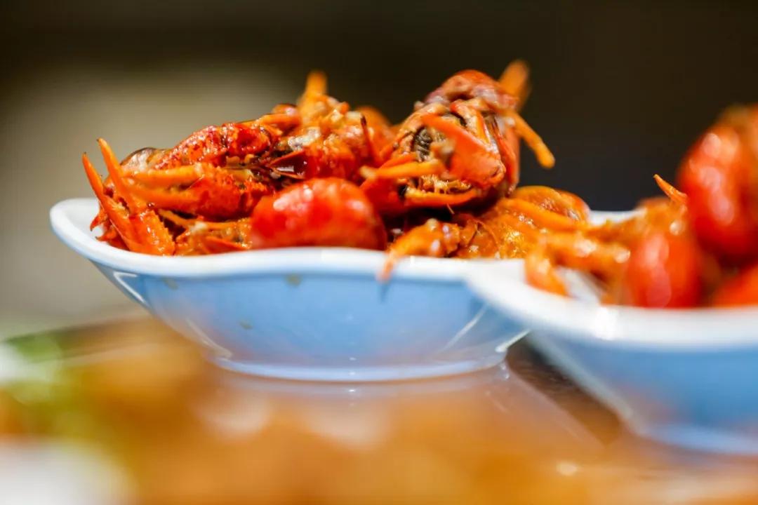 vivo质量堪比诺基亚,vivo手机和苹果手机5年后对比