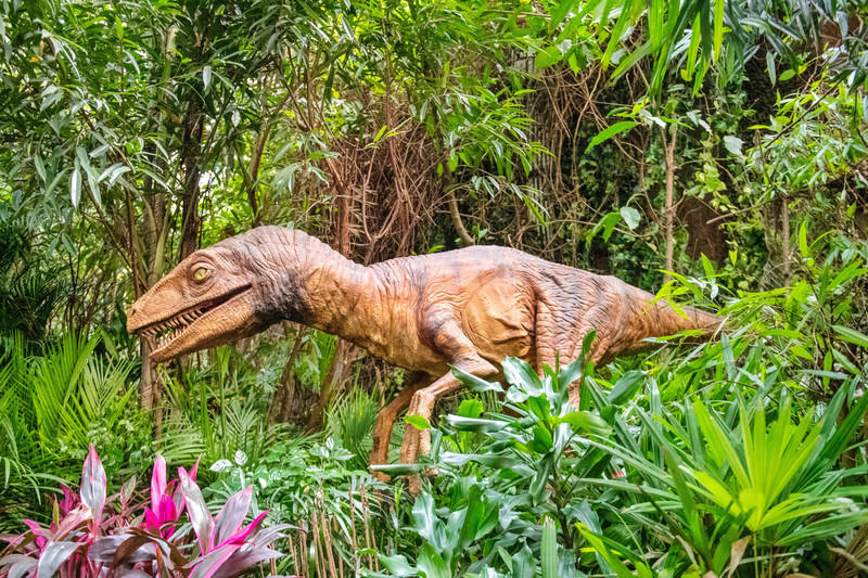 玩转广州长隆野生动物世界之行,广州长隆动物世界游玩攻略图