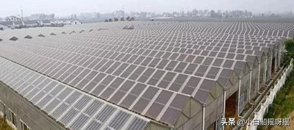 国家对光伏农光互补的政策,友阳光伏