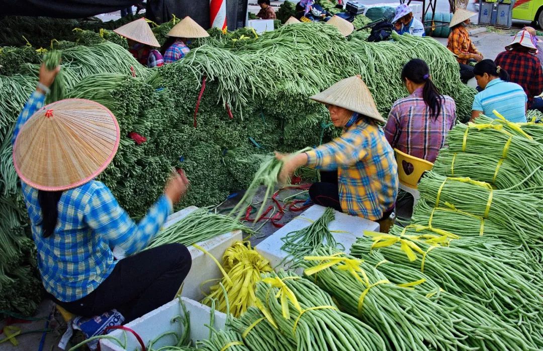 按吨起步支援湖北,背后是世界第一硬核蔬菜大国