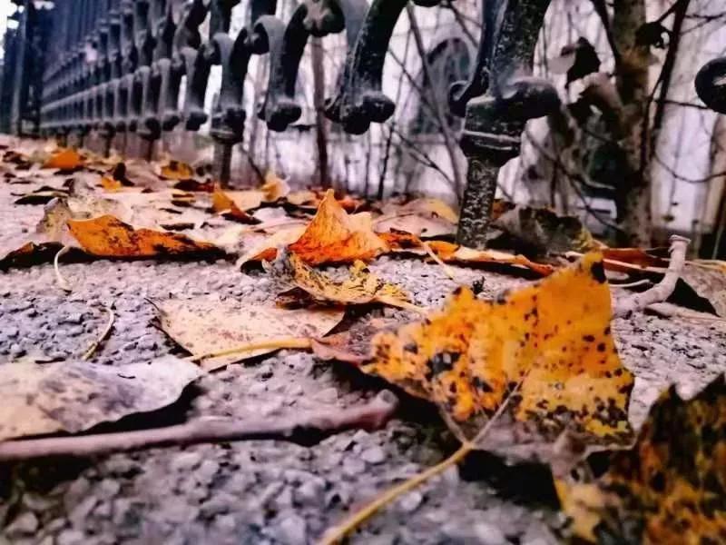 辽宁中医药大学杏林学院有独卫吗,辽宁中医药大学杏林学院属于3+2吗