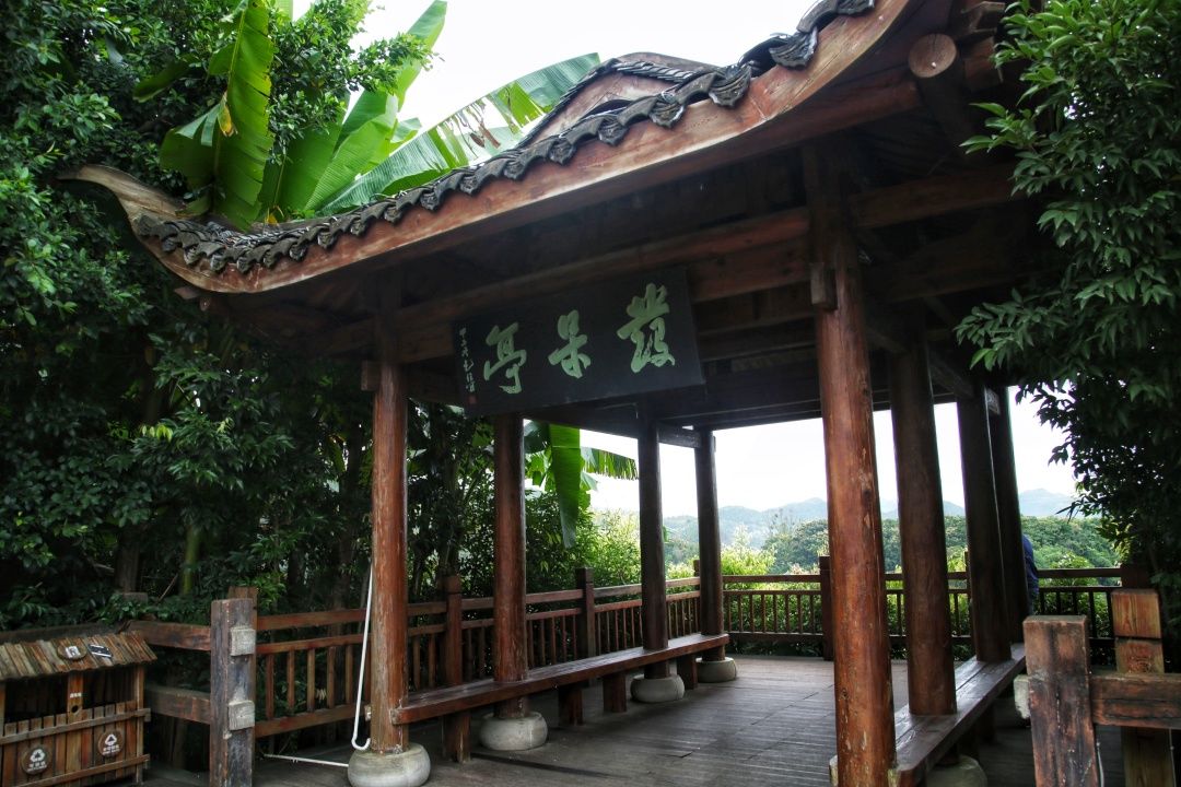 黄果树如何避开天星桥,一份详细的黄果树景区一日游攻略