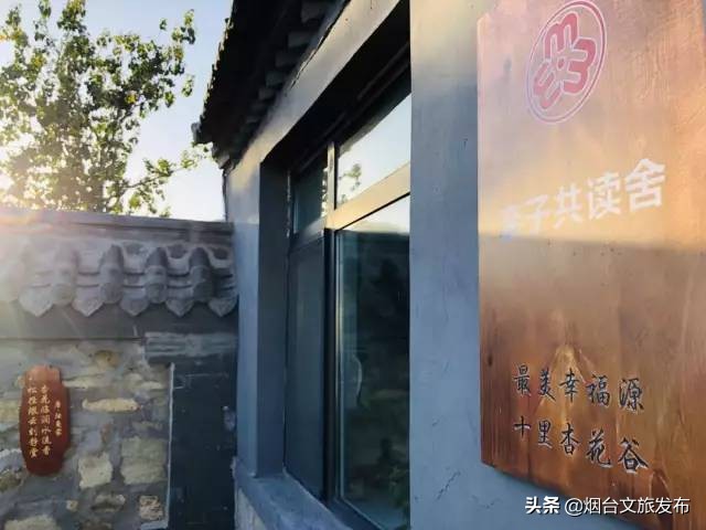 十里杏花谷里，藏着深秋的诗情画意