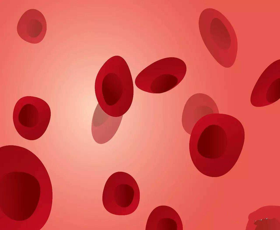 备孕期间怎么记录排卵期,好孕到来有哪些征兆