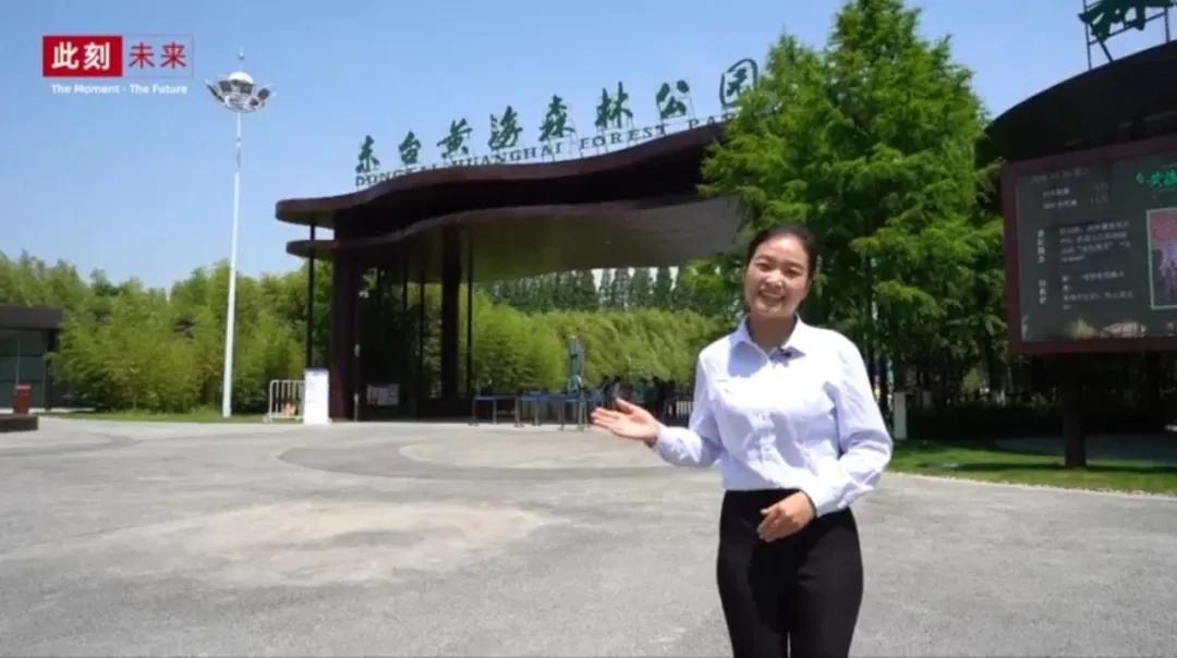 生物多样性保护的有关行动计划,保护生物多样性刻不容缓