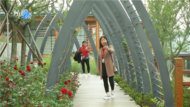 金线顶最浪漫的海景公园,金线顶公园有什么好玩的