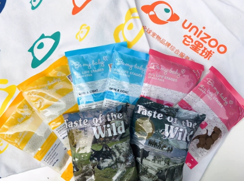 狗狗相亲大会30只柯基,柯基找对象要找有经验的大狗吗