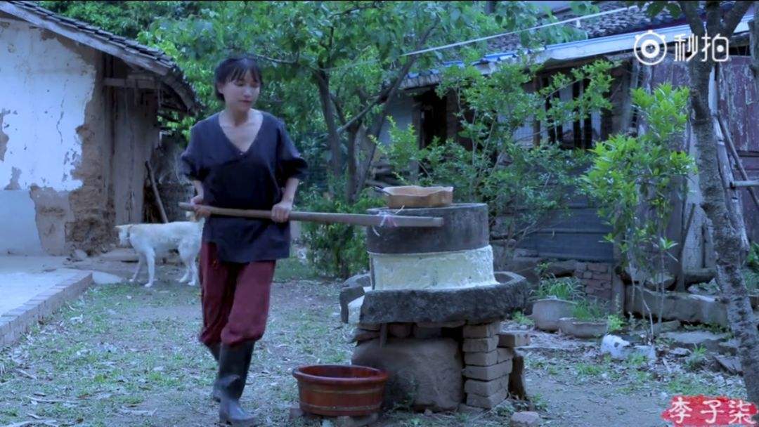 李子柒乡村振兴大使,李子柒乡村文化振兴