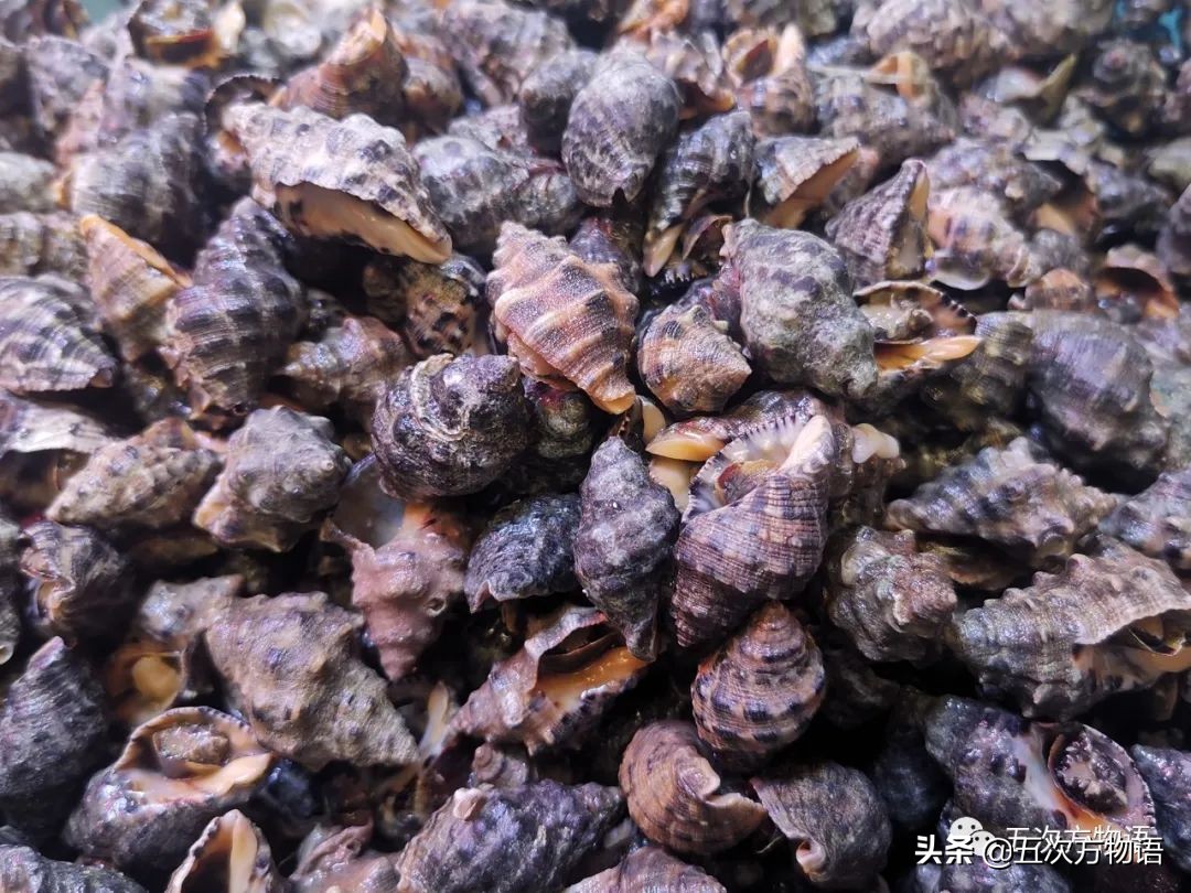 青岛菜市场分布图,青岛海鲜市场价格表今日