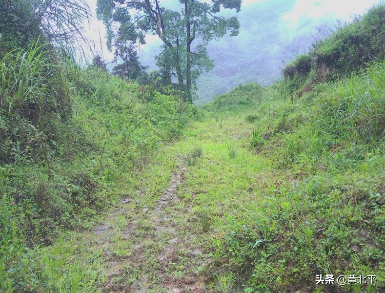 正安县何家山古道,贵州遵义安场古道
