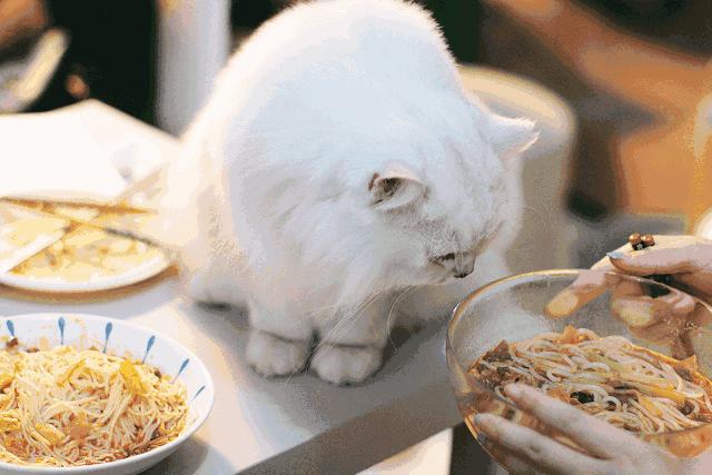 网购螺蛳粉哪款真好吃？试了一年，终于找到无限回购的真爱