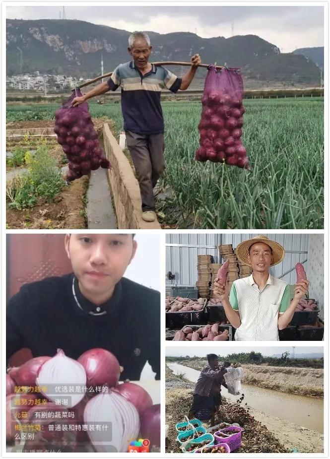 做好疫情防控春耕备耕农产品保障,农业生产与疫病防控