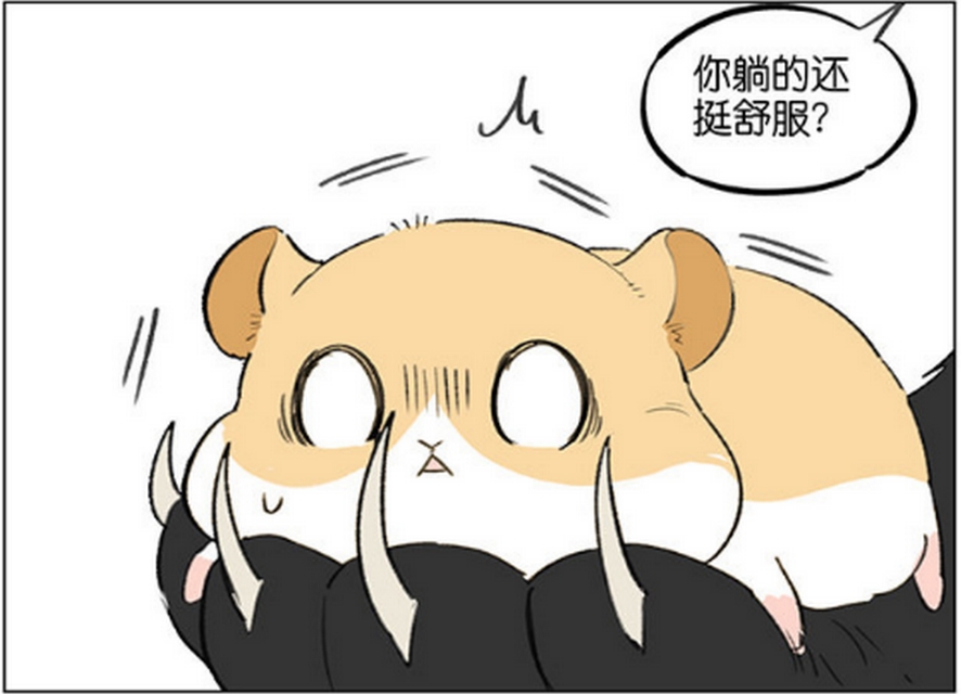 仓鼠跑步速度有多快,仓鼠跑步的速度有多快