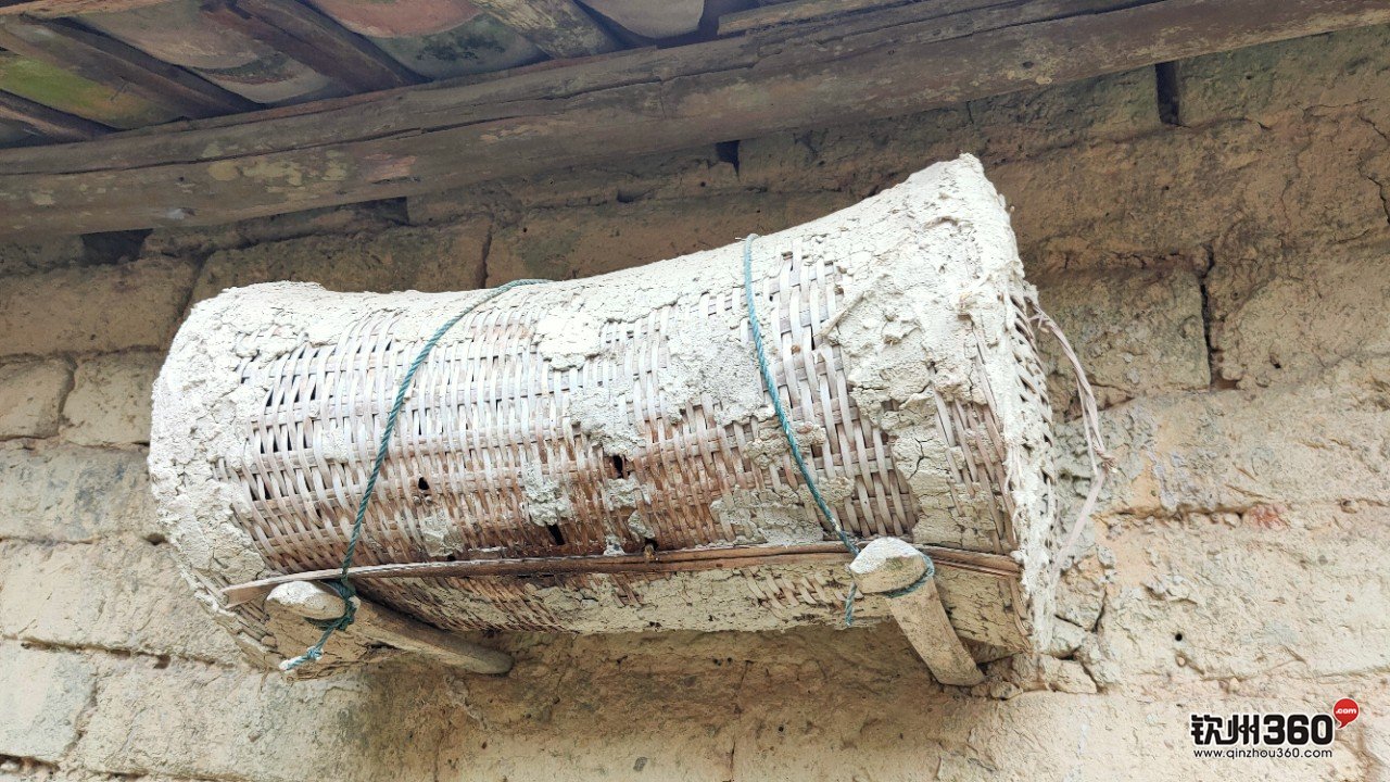 野生蜂蜜取出来的方法,神奇的东西都有什么