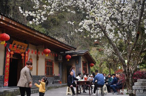 农村适合中青年人干的10个事业，比外面打工还轻松