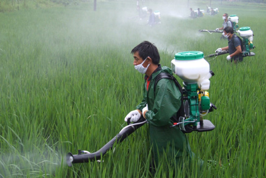 农作物地下害虫防治方法,农作物害虫的防治方法有哪些