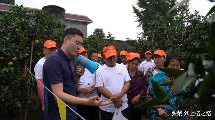 眉山柑橘推介会,眉山柑橘技术