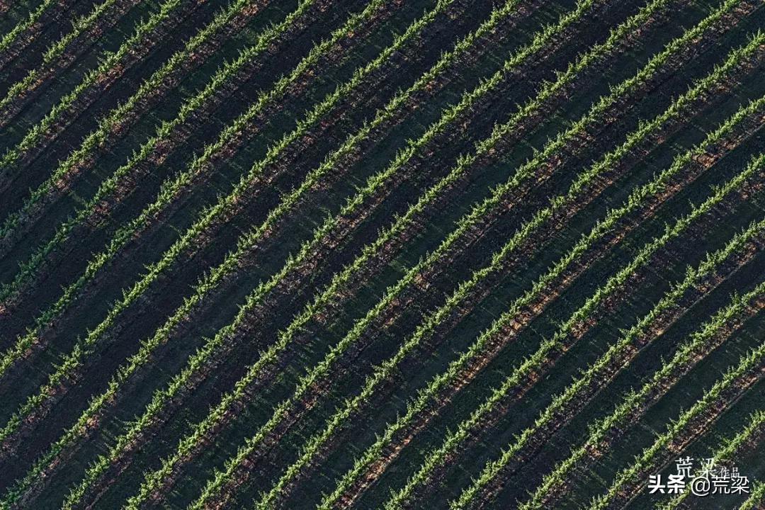 澳洲酒庄旅游,澳洲旅游攻略红酒