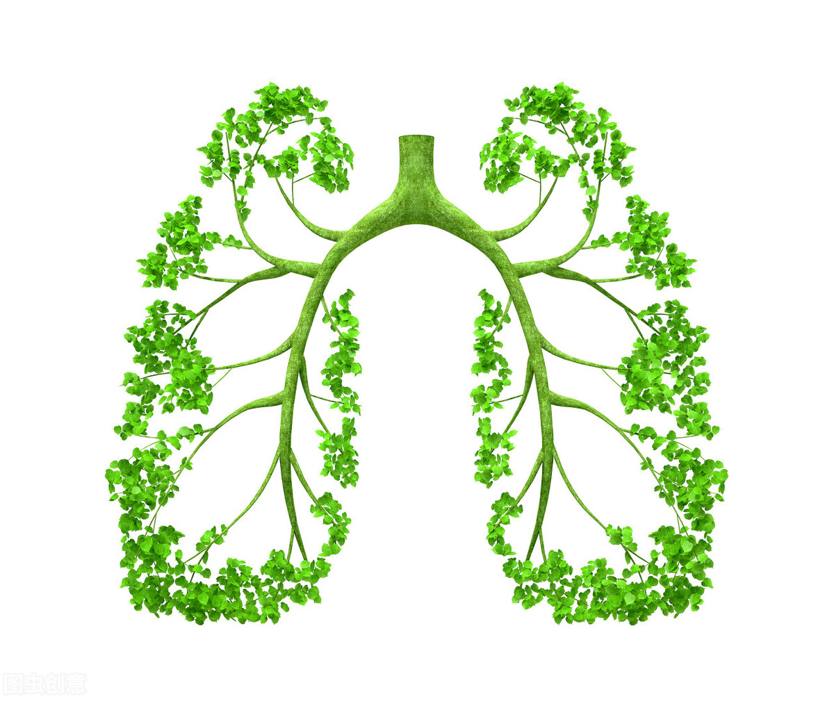 清除肺火滋阴养肺的中成药,润肺养肺去肺火