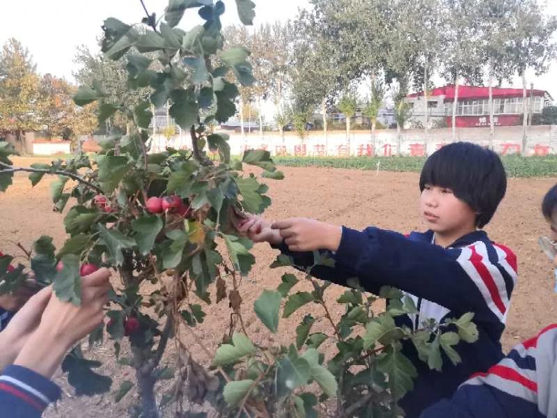 邯郸教育动态,邯郸市教育观察
